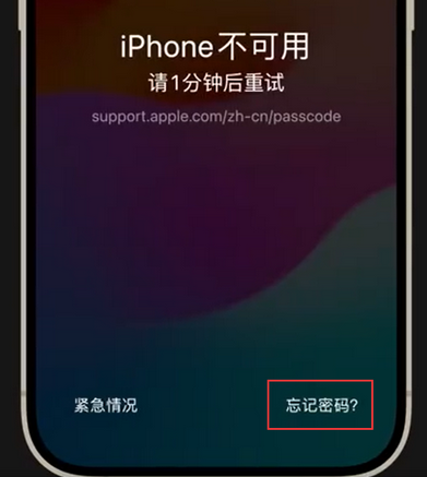 东郊镇苹果手机密码维修分享iPhone忘记了刚设置的密码 