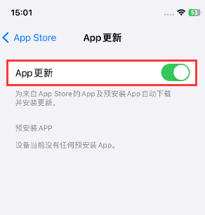 东郊镇苹果15维修中心如何让iPhone15APP自动更新