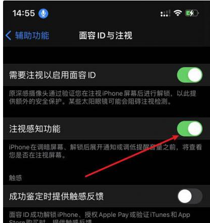 东郊镇苹果14维修网点分享iPhone14注视感知功能有什么用 
