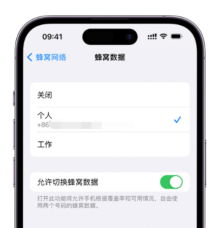 东郊镇苹果维修服务分享如何在iPhone上使用双卡 