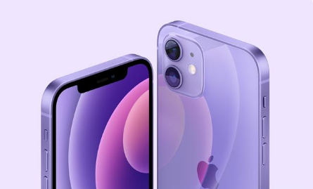 东郊镇苹果手机维修分享紫色版iPhone 12有什么技术亮点 