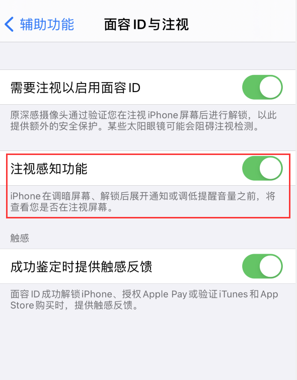东郊镇苹果手机维修分享iPhone 12 不会自动锁屏怎么办 