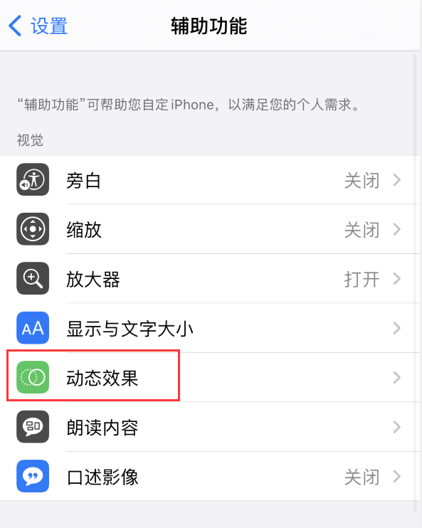 东郊镇苹果手机维修分享iPhone 12 退出应用时没有动画显示，如何设置 