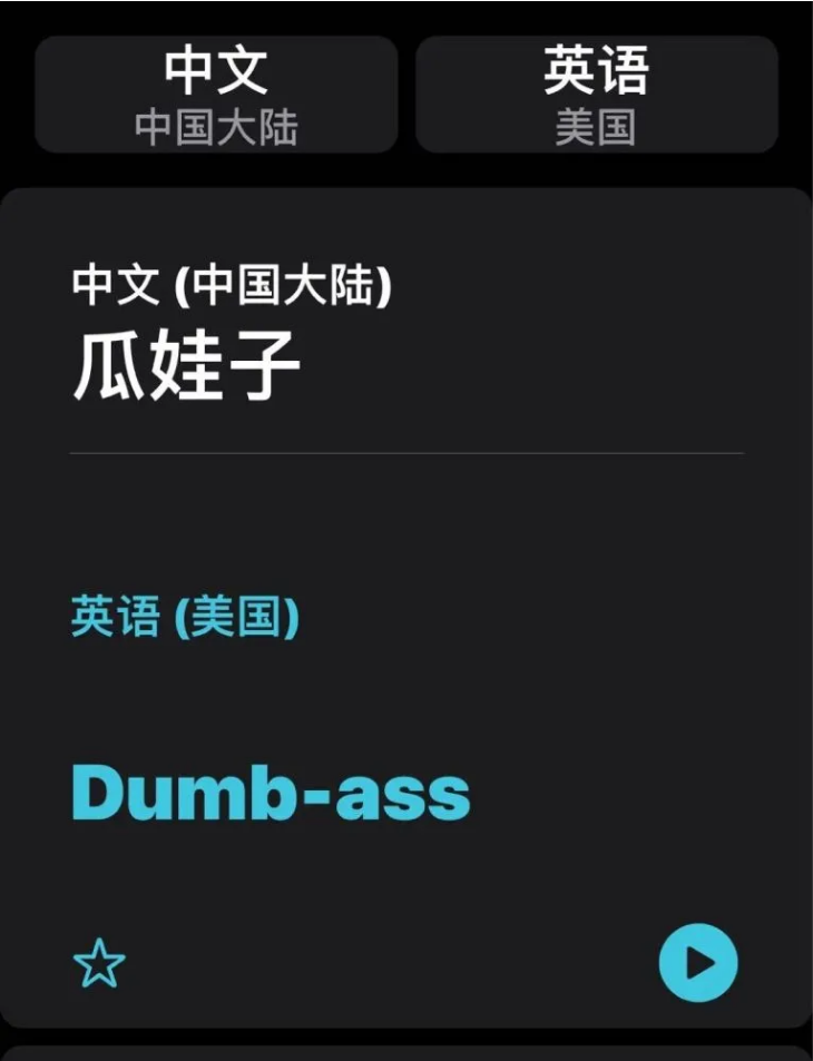 东郊镇苹果手机维修分享iOS14的“翻译太懂了”怎么用 